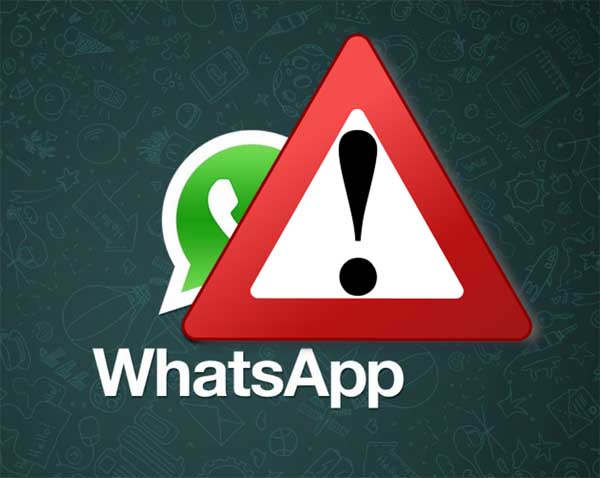 WhatsApp No